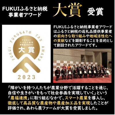 【令和6年産】「いっちょらい」 福井県産 コシヒカリ 精米 5kg