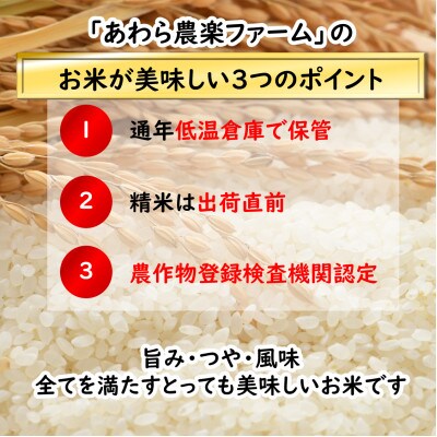 【令和6年産】「いっちょらい」 福井県産 コシヒカリ 精米 5kg