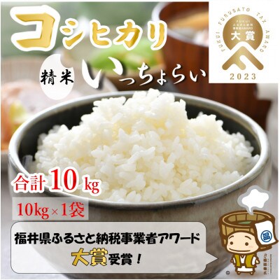 【令和6年産】「いっちょらい」 福井県産 コシヒカリ 精米 10kg×1袋
