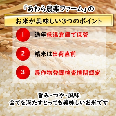 【令和5年産】「いっちょらい」 福井県産 コシヒカリ 無洗米 5kg