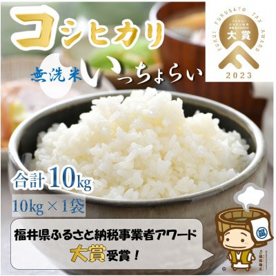 【令和7年産】 【一等米】コシヒカリ 無洗米 10kg 「いっちょらい」