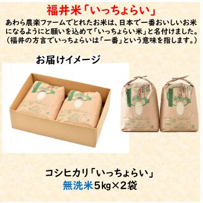 【令和5年産】「いっちょらい」 福井県産 コシヒカリ 無洗米 5kg×2袋(計10kg)