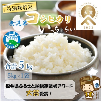 【令和5年産】特別栽培米 「いっちょらい」 福井県産 コシヒカリ 無洗米 5kg