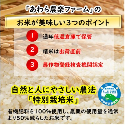 【令和5年産】特別栽培米 「いっちょらい」 福井県産 コシヒカリ 無洗米 5kg