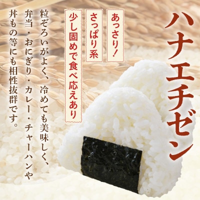 【令和7年産】 【一等米】ハナエチゼン 精米 10kg 《発送直前精米!》