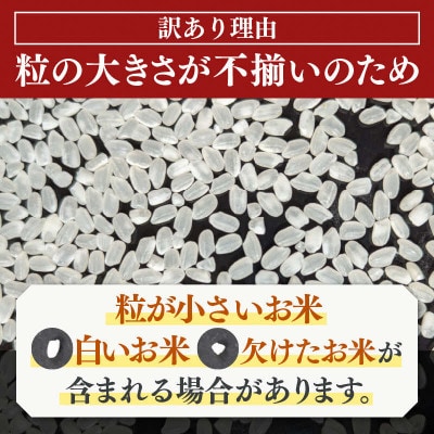 【訳あり】令和7年産 細雪米(コシヒカリ・ハナエチゼン・あきさかりのいずれか) 精米 10kg