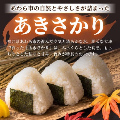 【令和7年産】あきさかり 精米 10kg × 1袋(計10kg)