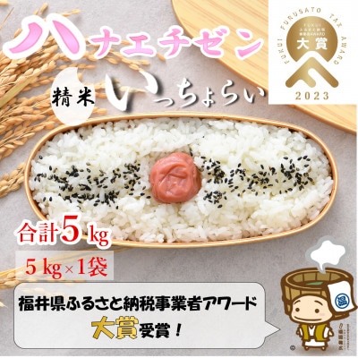 【令和8年産】 【一等米】ハナエチゼン 精米 5kg 《発送直前精米!》