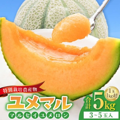 【先行予約】マルセイユメロン「ユメマル」　3～5玉入5kg 《とろけるような食感の絶品赤肉メロン》