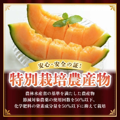 【先行予約】マルセイユメロン「ユメマル」　3～5玉入5kg 《とろけるような食感の絶品赤肉メロン》