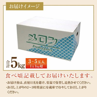 【先行予約】マルセイユメロン「ユメマル」　3～5玉入5kg 《とろけるような食感の絶品赤肉メロン》