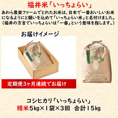【毎月定期便】「いっちょらい」 福井県産 コシヒカリ 精米 5kg 全3回