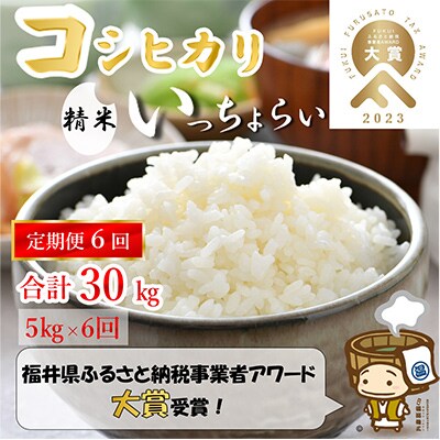 【毎月定期便】「いっちょらい」 福井県産 コシヒカリ 精米 5kg 全6回