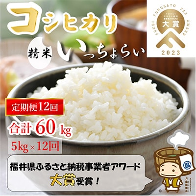 【毎月定期便】「いっちょらい」 福井県産 コシヒカリ 精米 5kg 全12回