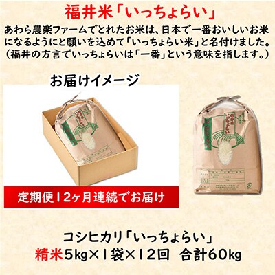 【毎月定期便】「いっちょらい」 福井県産 コシヒカリ 精米 5kg 全12回