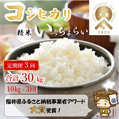 【毎月定期便】「いっちょらい」 福井県産 コシヒカリ 精米 10kg 全3回