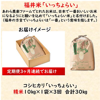 【毎月定期便】「いっちょらい」 福井県産 コシヒカリ 精米 10kg 全3回