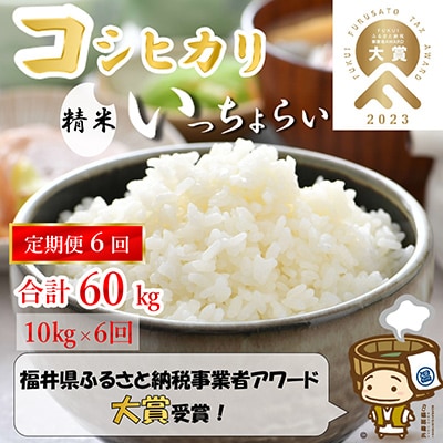 【毎月定期便】「いっちょらい」 福井県産 コシヒカリ 精米 10kg 全6回