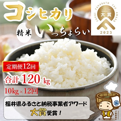 【毎月定期便】「いっちょらい」 福井県産 コシヒカリ 精米 10kg 全12回