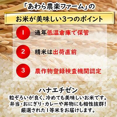 【毎月定期便】【一等米】ハナエチゼン 精米 10kg全12回