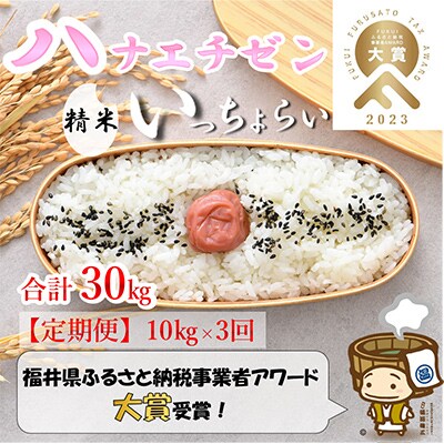【毎月定期便】【一等米】ハナエチゼン 精米 10kg全3回