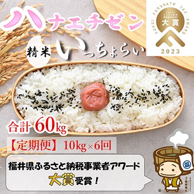 【毎月定期便】【一等米】ハナエチゼン 精米 10kg全6回