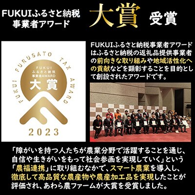 【毎月定期便】【一等米】ハナエチゼン 精米 10kg全6回