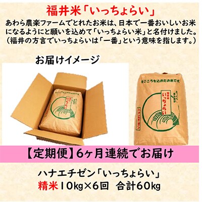 【毎月定期便】【一等米】ハナエチゼン 精米 10kg全6回