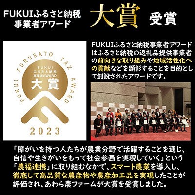 【発送月固定定期便】「いっちょらい」 福井県産コシヒカリ精米 5kg全3回