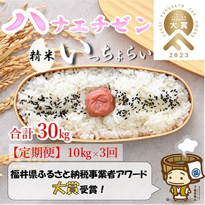 【発送月固定定期便】【一等米】ハナエチゼン精米10kg 《発送直前精米!》全3回