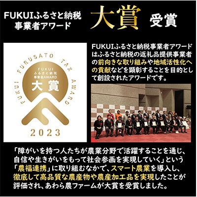 【発送月固定定期便】【一等米】ハナエチゼン精米10kg 《発送直前精米!》全3回