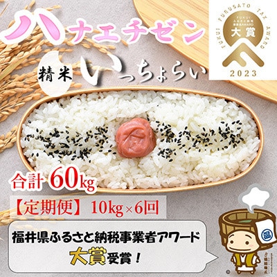 【発送月固定定期便】【一等米】ハナエチゼン精米10kg 《発送直前精米!》全6回