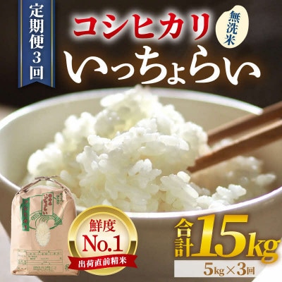 【毎月定期便】【一等米】コシヒカリ 無洗米 5kg 「いっちょらい」全3回