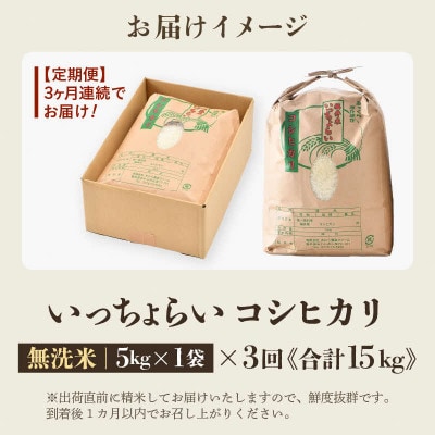 【毎月定期便】【一等米】コシヒカリ 無洗米 5kg 「いっちょらい」全3回