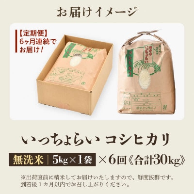 【毎月定期便】【一等米】コシヒカリ 無洗米 5kg 「いっちょらい」全6回
