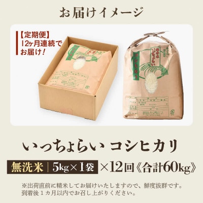 【毎月定期便】【一等米】コシヒカリ 無洗米 5kg 「いっちょらい」全12回