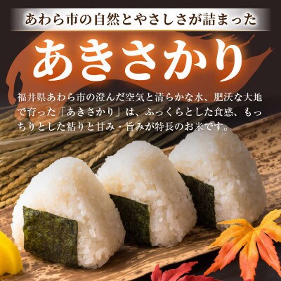 【毎月定期便】あきさかり 精米 10kg × 1袋(計10kg)全3回