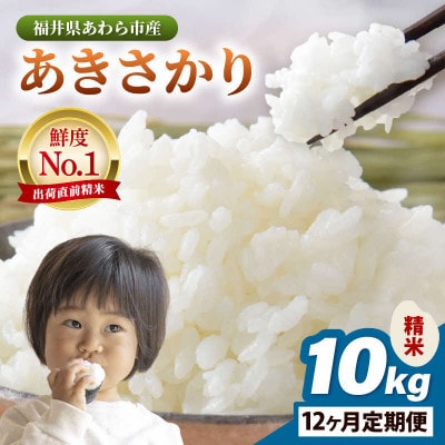 �y��������ցz���������� ���� 10kg × 1��(�v10kg)�S12��