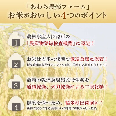 【毎月定期便】【一等米】コシヒカリ 精米 5kg 「いっちょらい」全3回