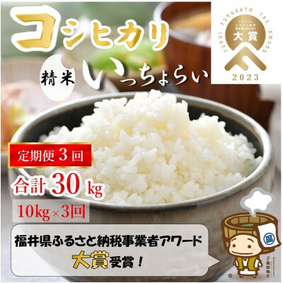 【毎月定期便】【一等米】コシヒカリ 精米 10kg 「いっちょらい」全3回