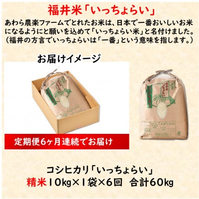 【毎月定期便】【一等米】コシヒカリ 精米 10kg 「いっちょらい」全6回