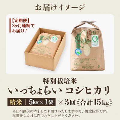 【毎月定期便】特別栽培米 コシヒカリ 精米 5kg「いっちょらい」全3回