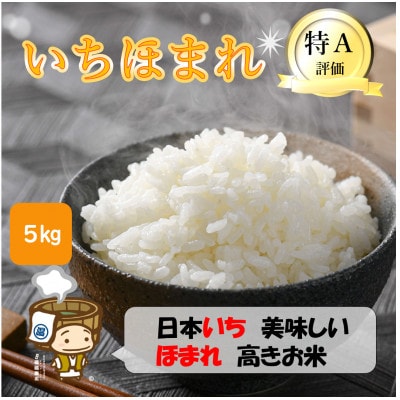 令和6年産】いちほまれ 精米 5kg×1袋《お米マイスターが発送直前