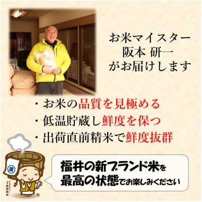 【令和6年産】いちほまれ 精米 5kg×2袋(計10kg)《お米マイスターが発送直前に精米!》
