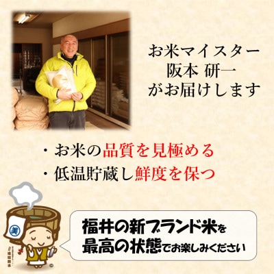 【令和6年産】いちほまれ 無洗米 5kg×2袋