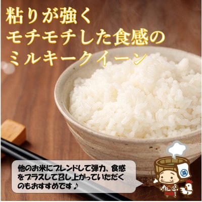 【令和6年産】ミルキークイーン 精米 5kg《お米マイスターが発送直前に精米!》