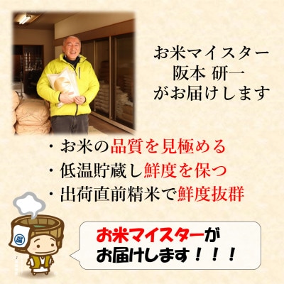 【令和6年産】ミルキークイーン 精米 10kg《お米マイスターが発送直前に精米!》