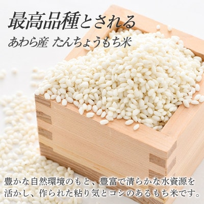 たんちょうもち米 1.5kg×3袋(計4.5kg)精米 ≪希少!お餅作りに最良≫