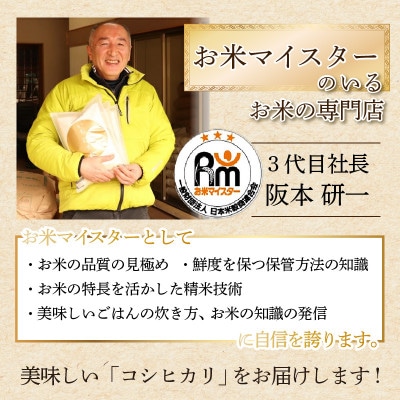 【令和7年産】コシヒカリ 精米 10kg×1袋 《お米マイスターが発送直前に精米!》