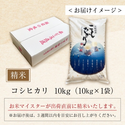 【令和7年産】コシヒカリ 精米 10kg×1袋 《お米マイスターが発送直前に精米!》